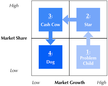 BCG Matrix Journey